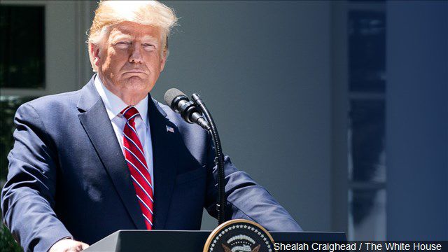 President Donald Trump rose garden mgn 7/11/2019